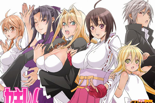 Top 75 Best Ecchi Harem Anime Hottest Series 