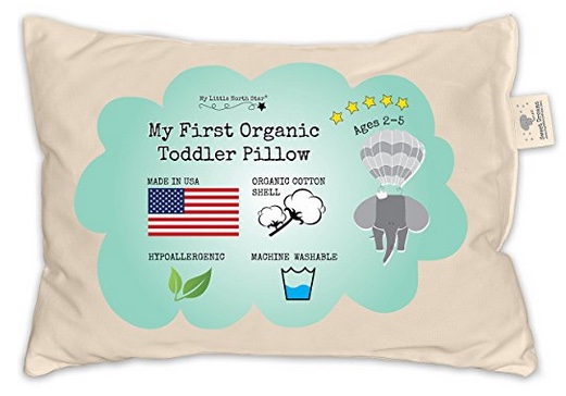 best organic pillows 2018