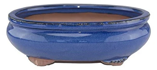 2 bonsaisupplies blue oval.jpeg