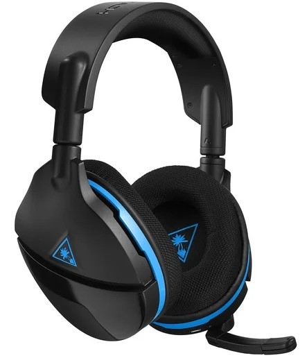 5 turtle beach.jpeg