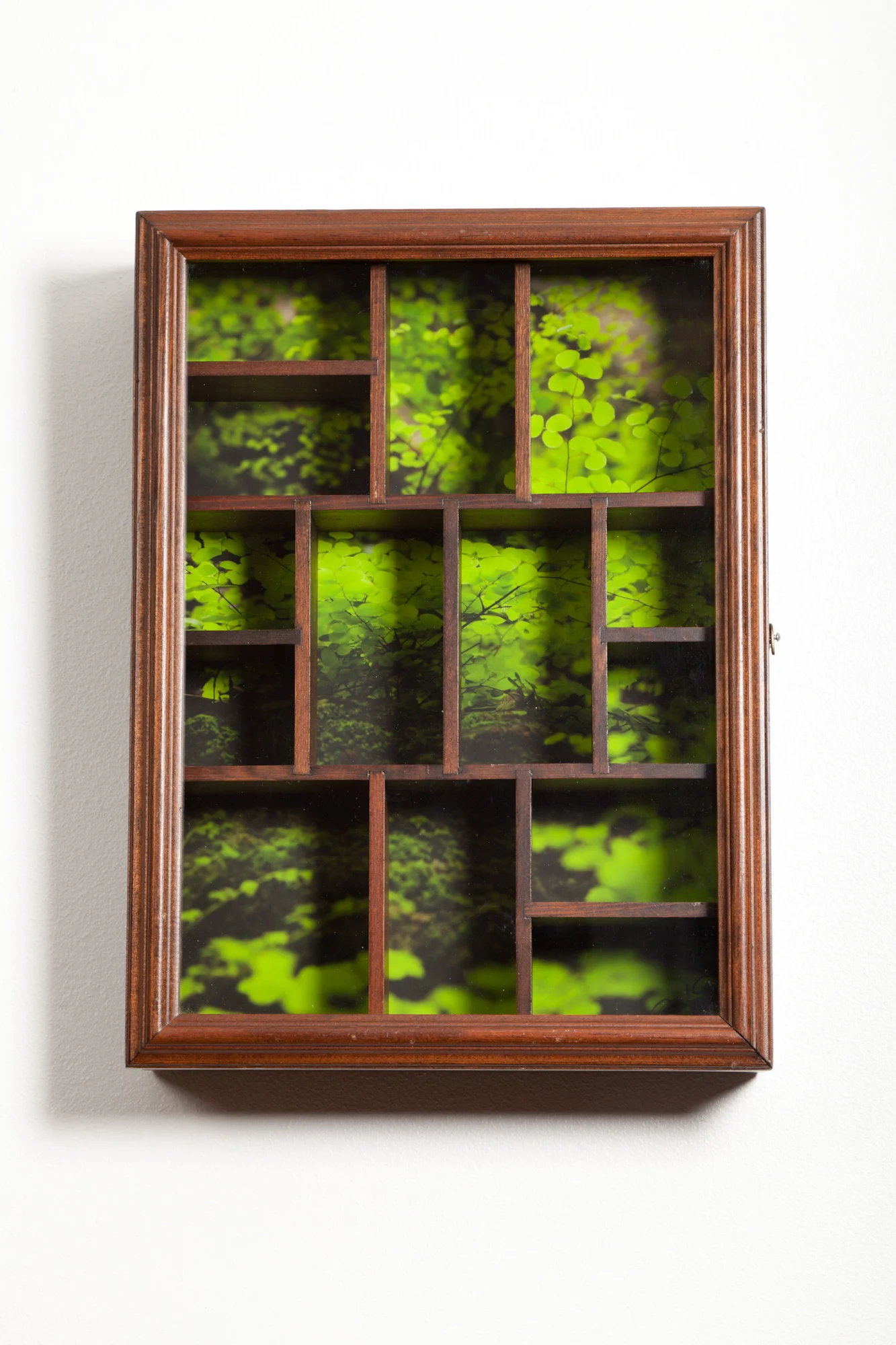 Shadowbox Cabinet.jpg