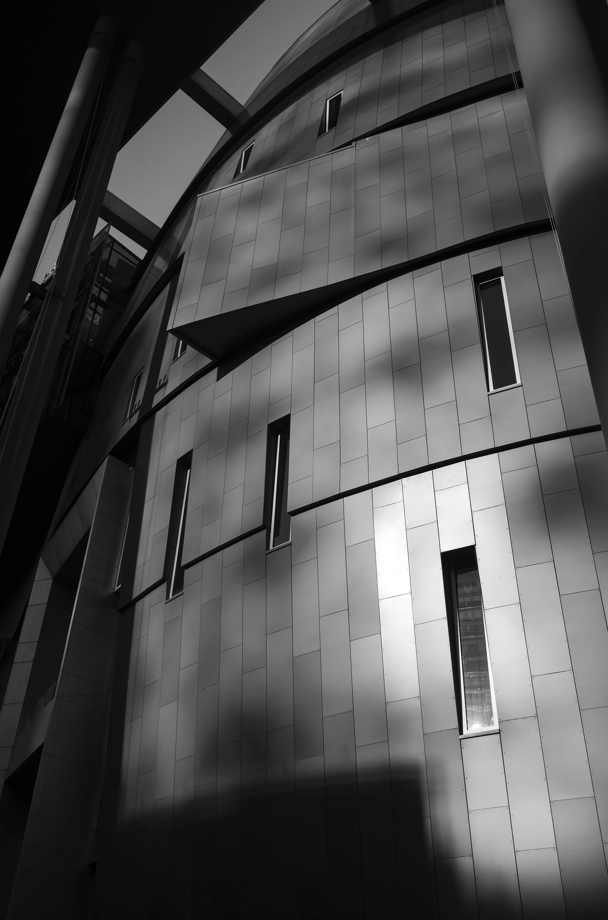 L1009190 copy.jpg