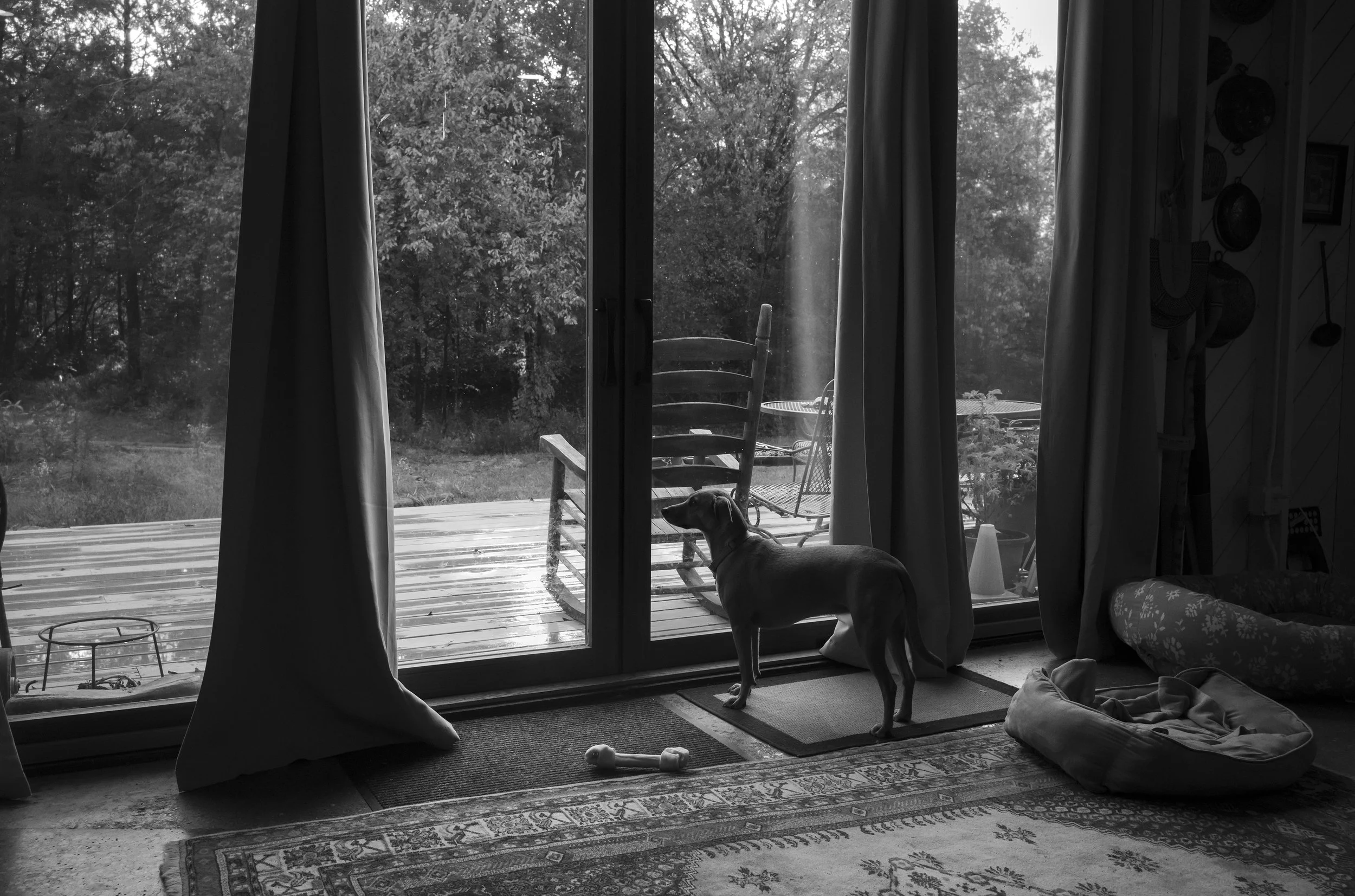 L1009357 copy.jpg