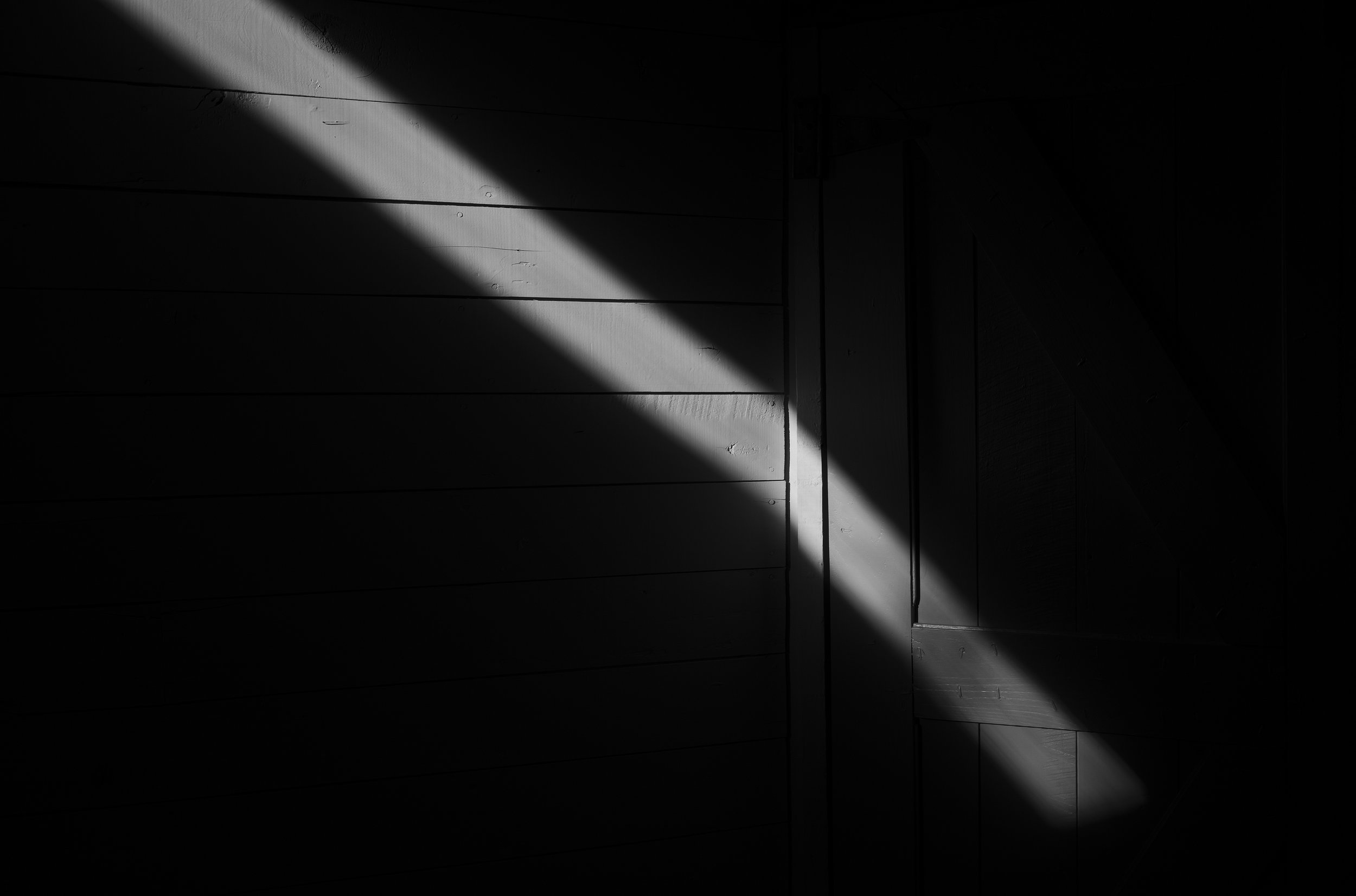 L1009404 copy.jpg