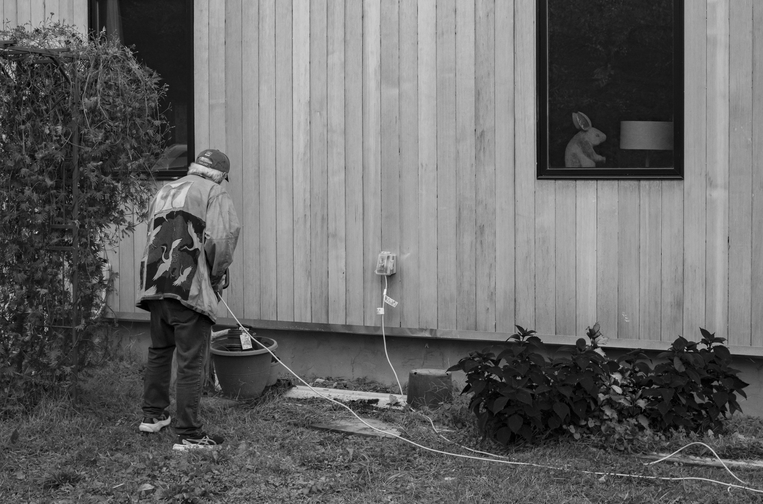 L1009440 copy 2.jpg