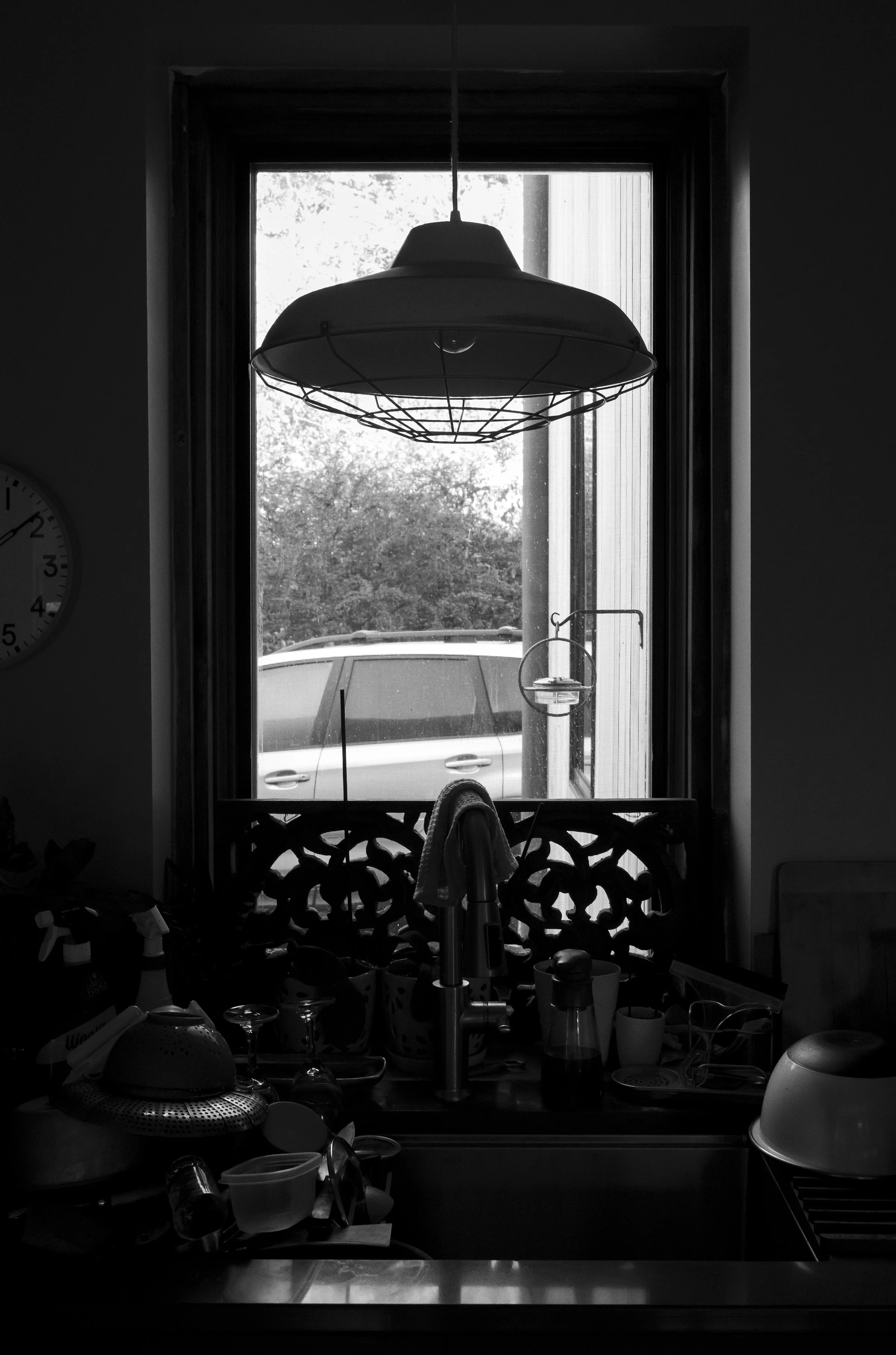 L1009485 copy.jpg