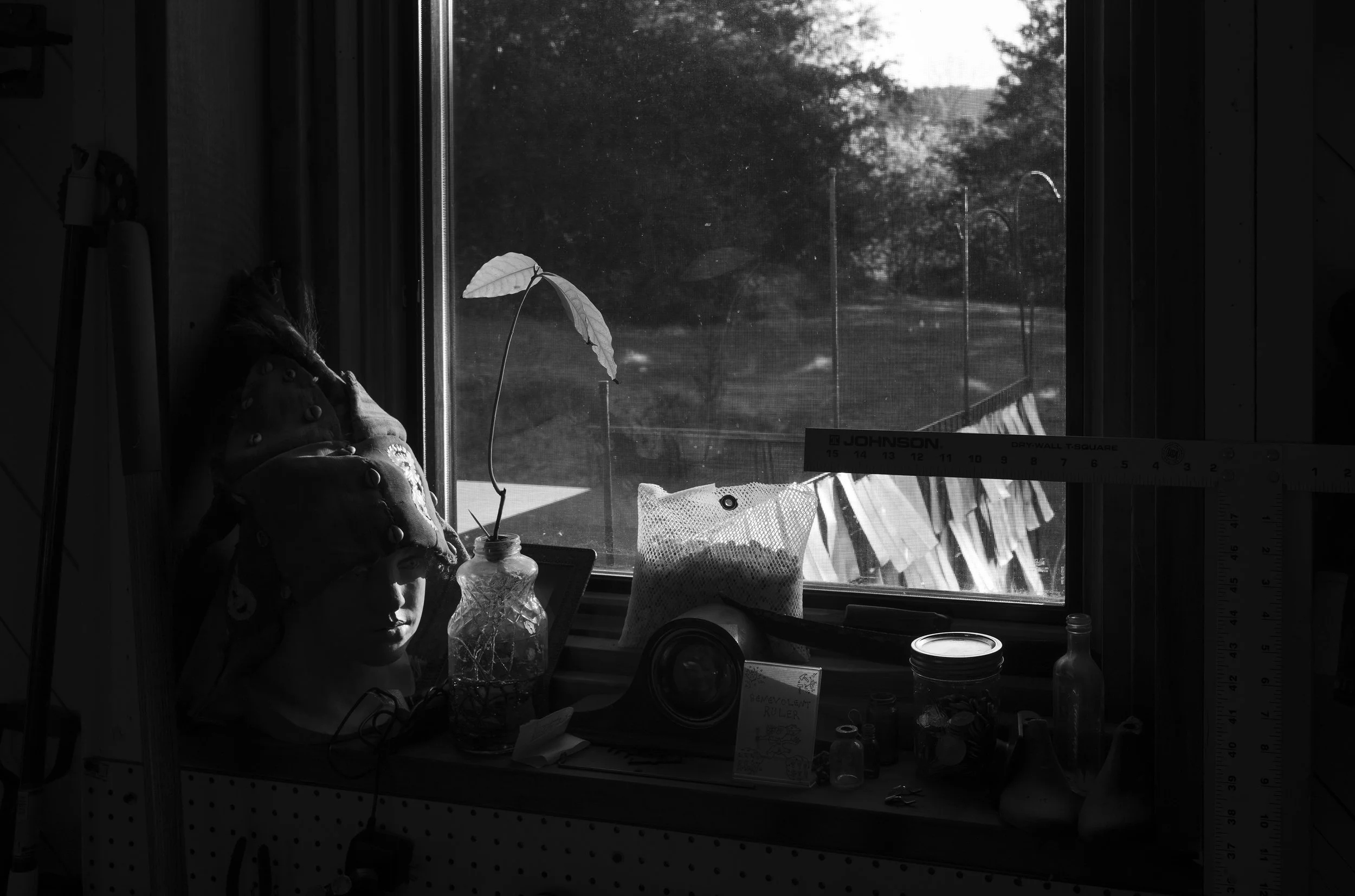 L1009493 copy.jpg