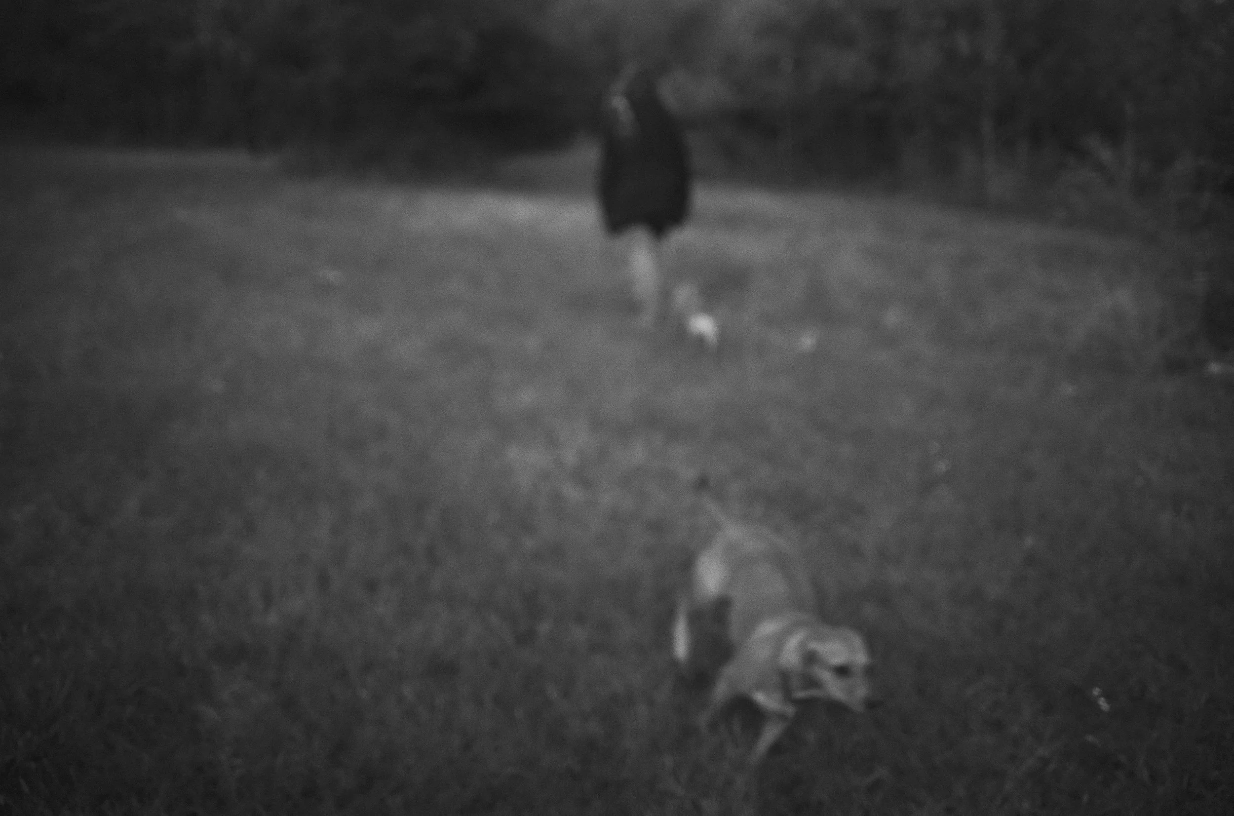L1009465 copy.jpg