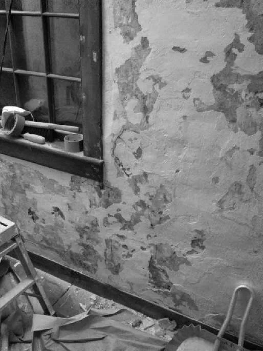 Did They Really Use Horsehair? — Denison Homestead Campus