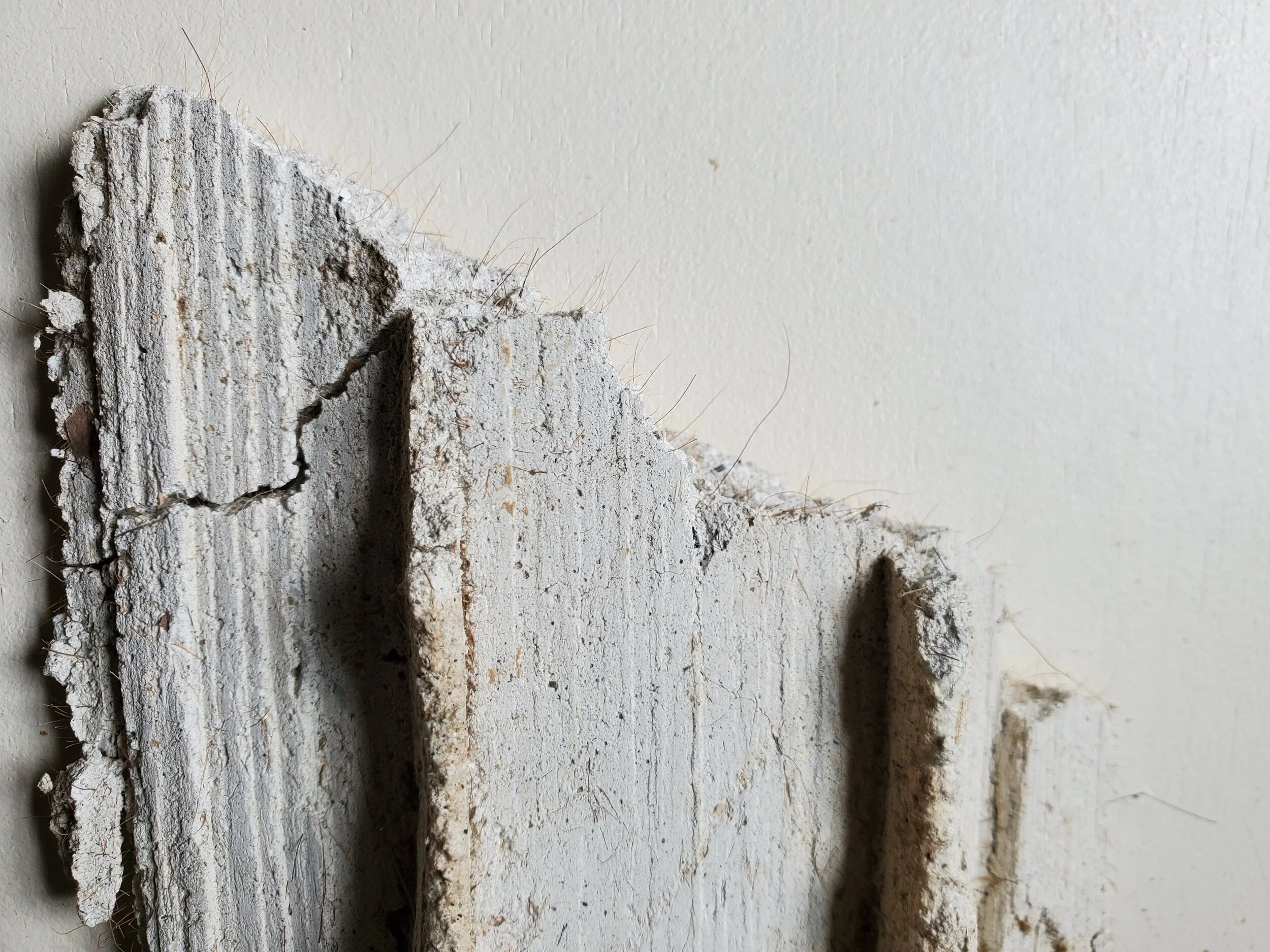 Did They Really Use Horsehair? — Denison Homestead Campus