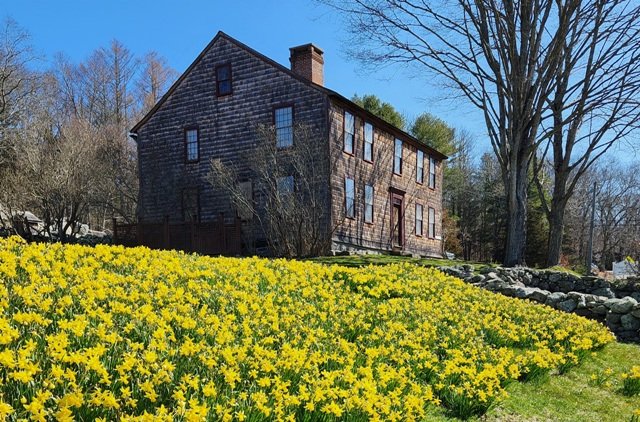 Annual Daffodil Festival 