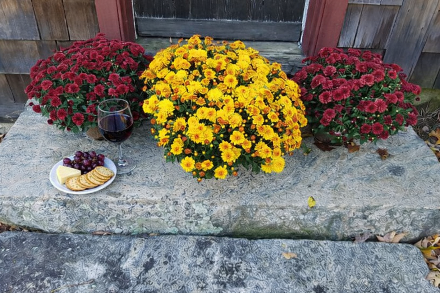 Annual Friday Night Social Gathering