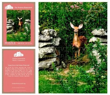 DEER PUZZLE.jpg