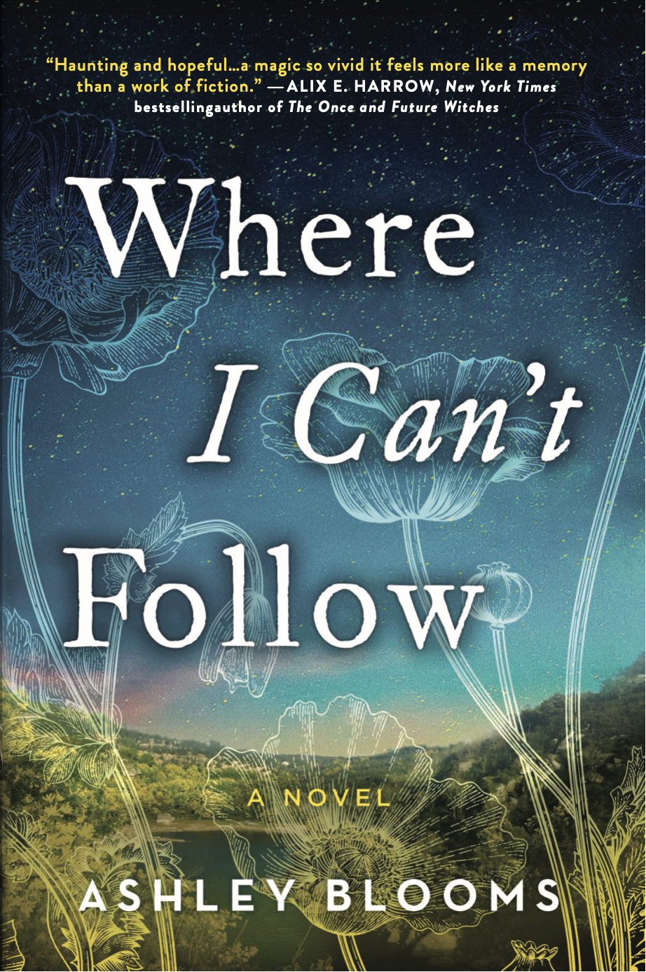 Where I Can't Follow by Ashley Blooms