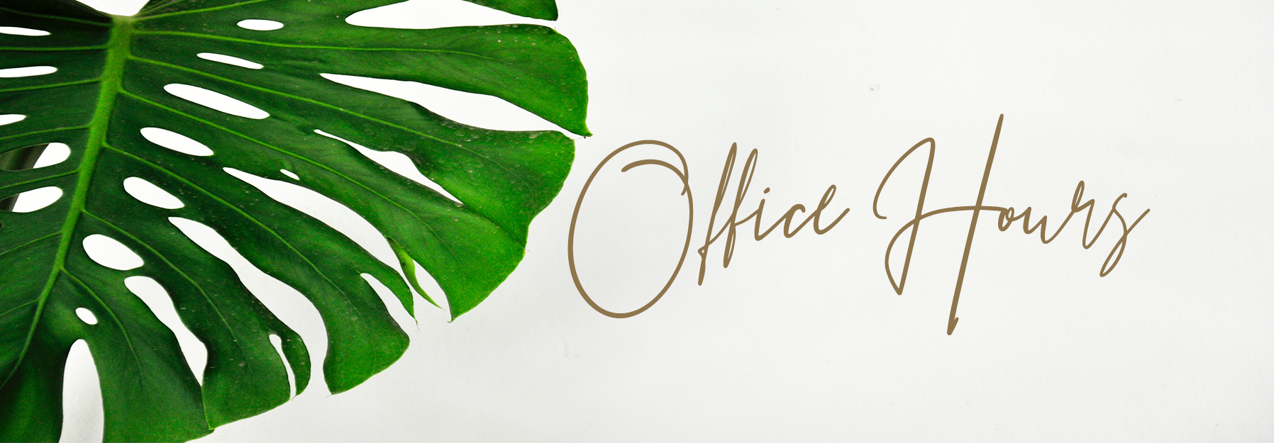 office-hours-header.png