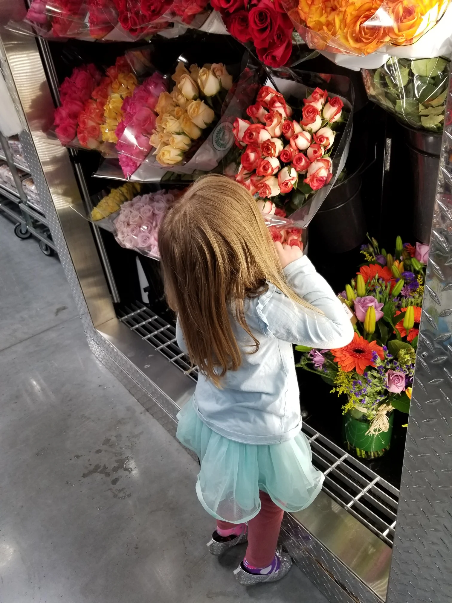 Stopping to smell the Roses!
