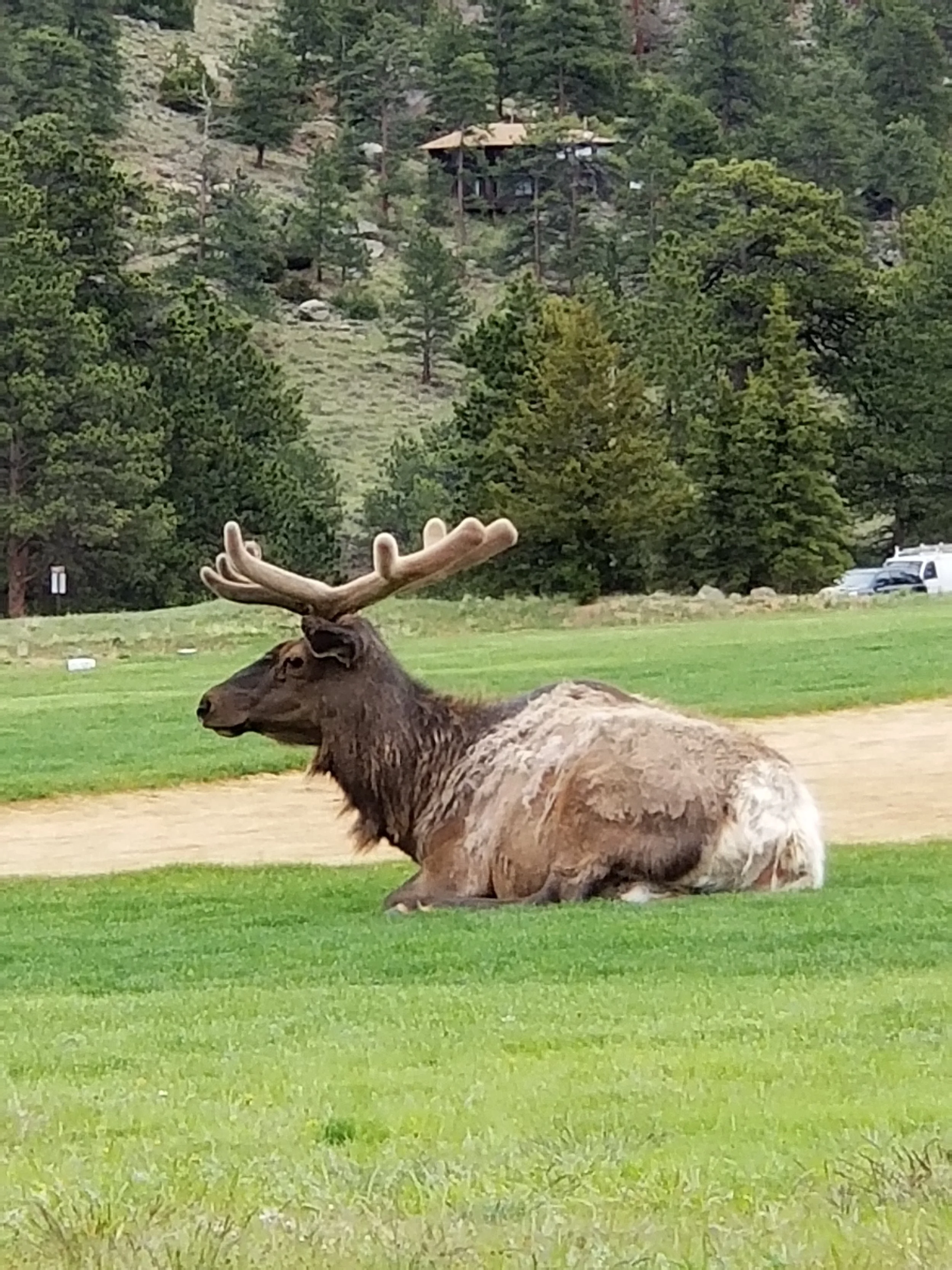 20180520_091928.jpg