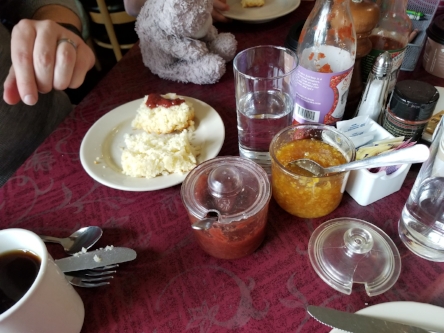 20180520_110058.jpg
