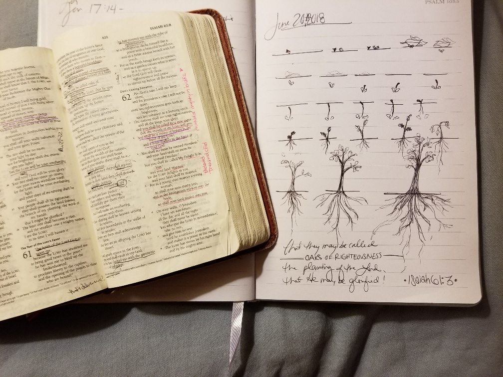 root sketch.jpg