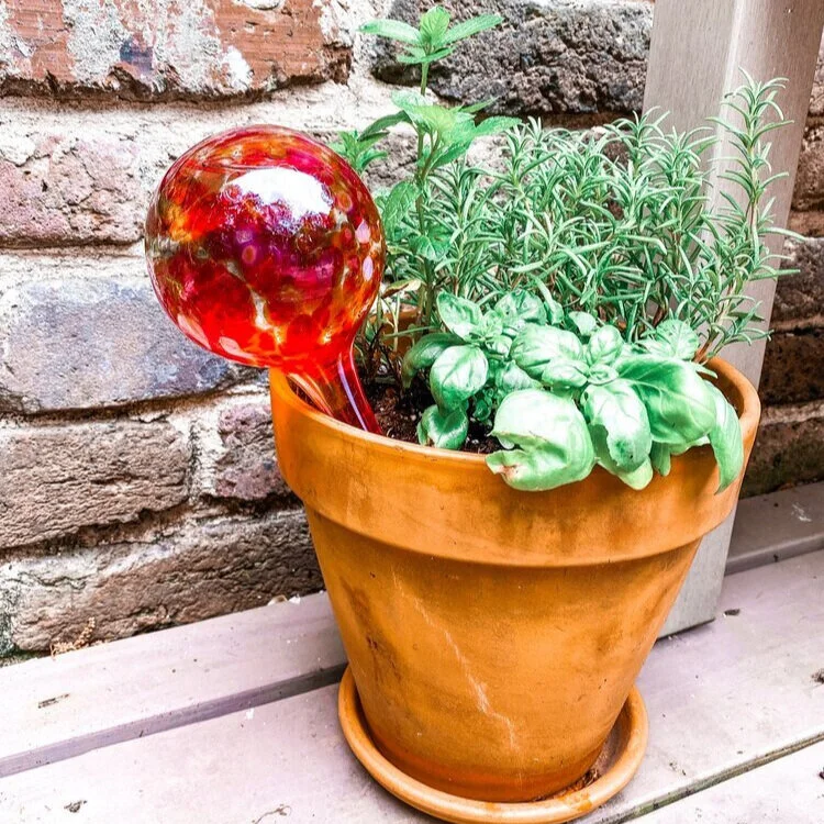 Tip Tuesday: Herb Garden