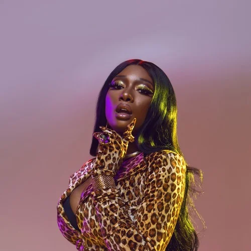 Megan Thee Stallion S Fever Is A Southern Rap At Its Finest Filltheblanc Com