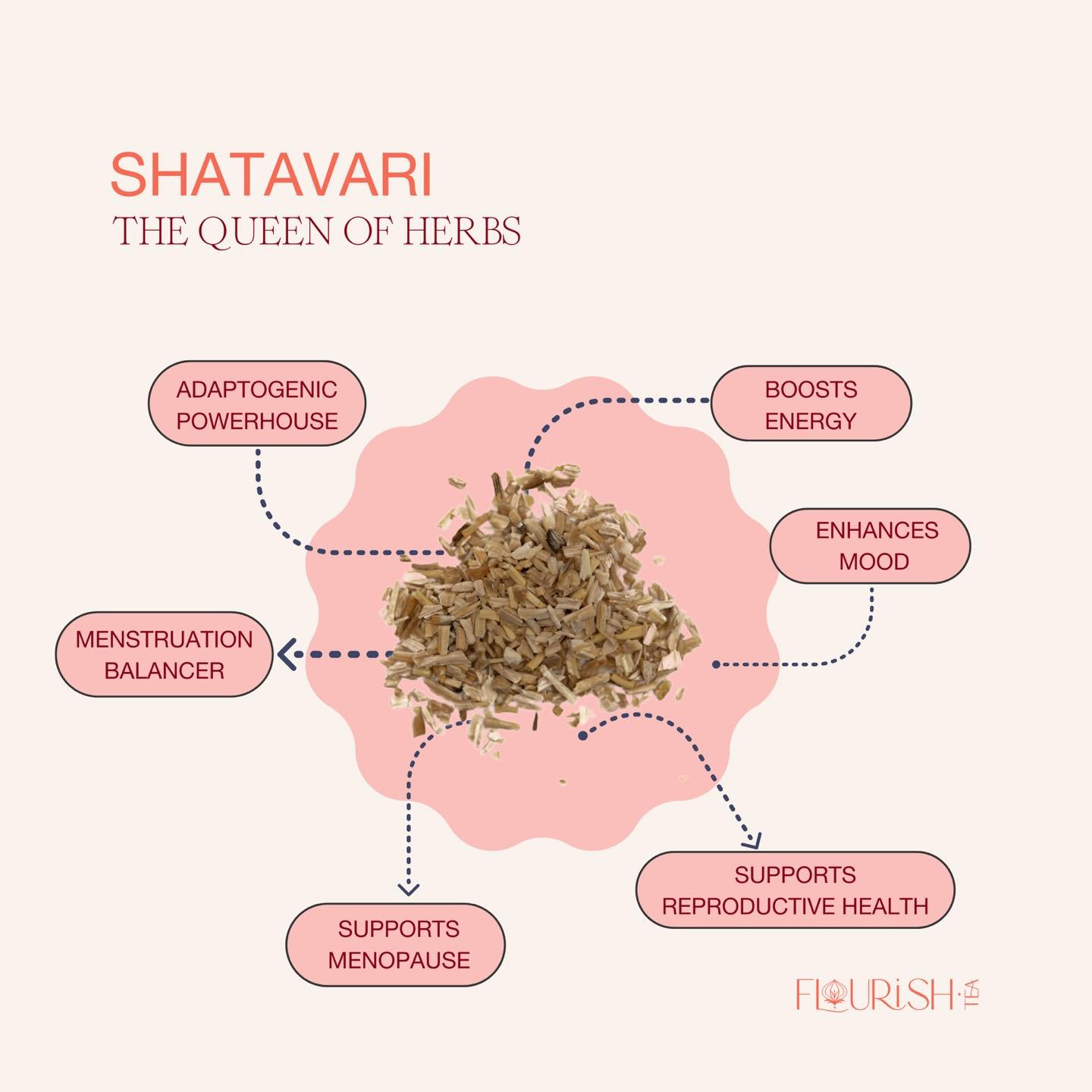 Herb for the W O M B ✨

Shatavari the &lsquo;Queen of Herbs&rsquo; has been used for centuries as a hormone balancer and a general tonic to uplift female health and libido. ⚖️

Being a powerful adaptogenic herb, it is known to relieve one from physic