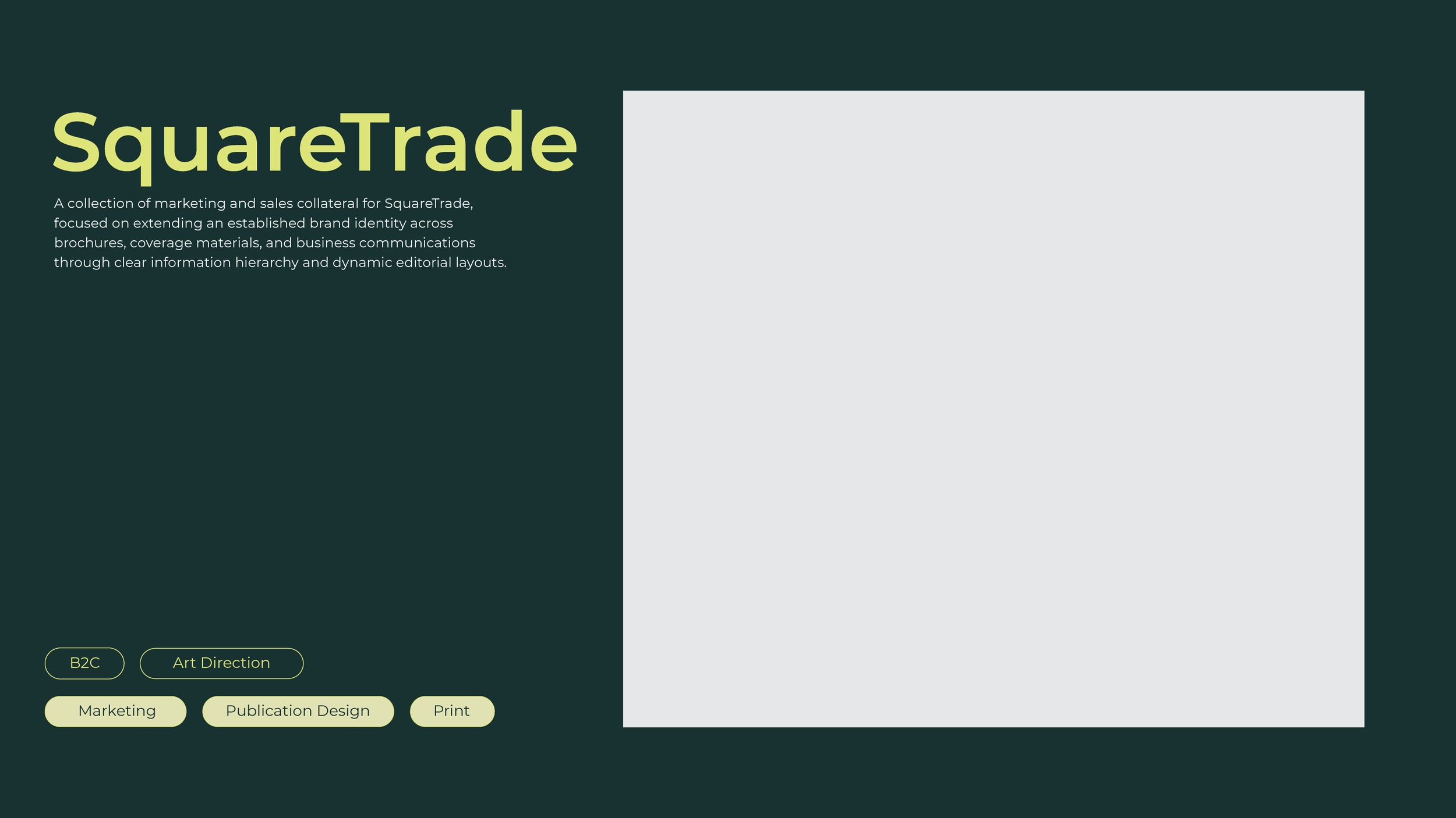 portfolio-covers_SquareTrade.png