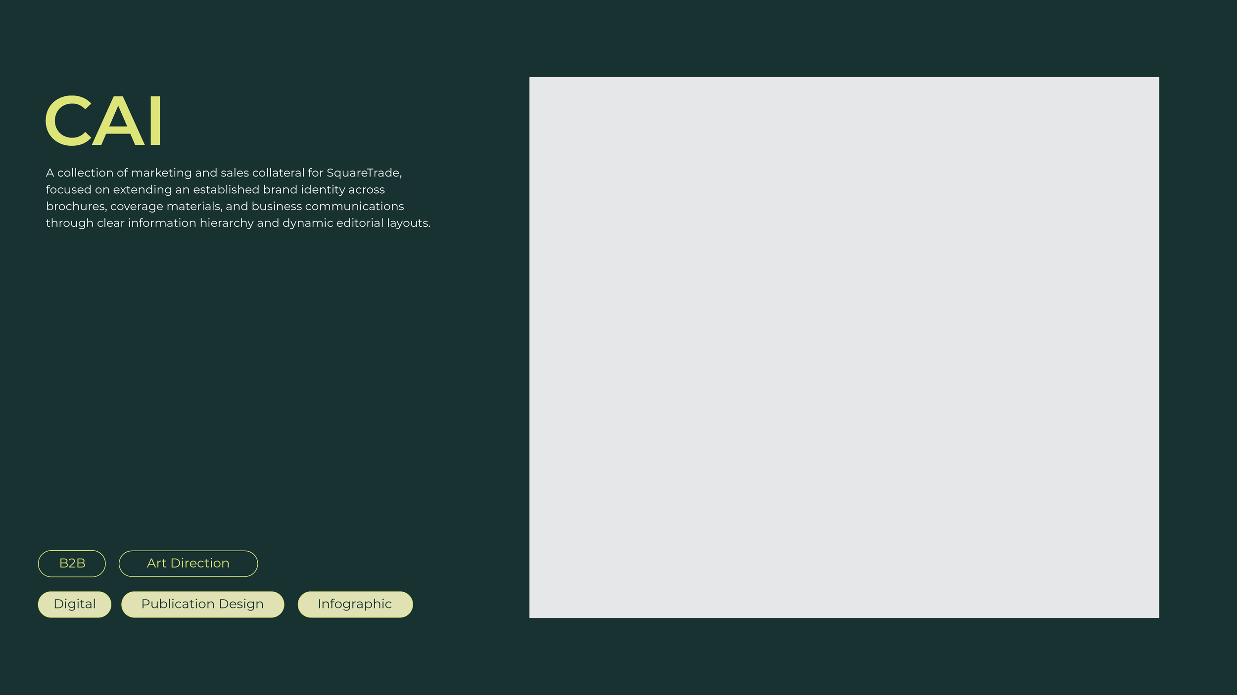 portfolio-covers_CAI.png
