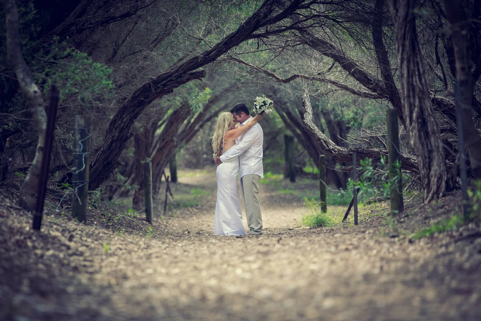 A Forest Of Two.jpg
