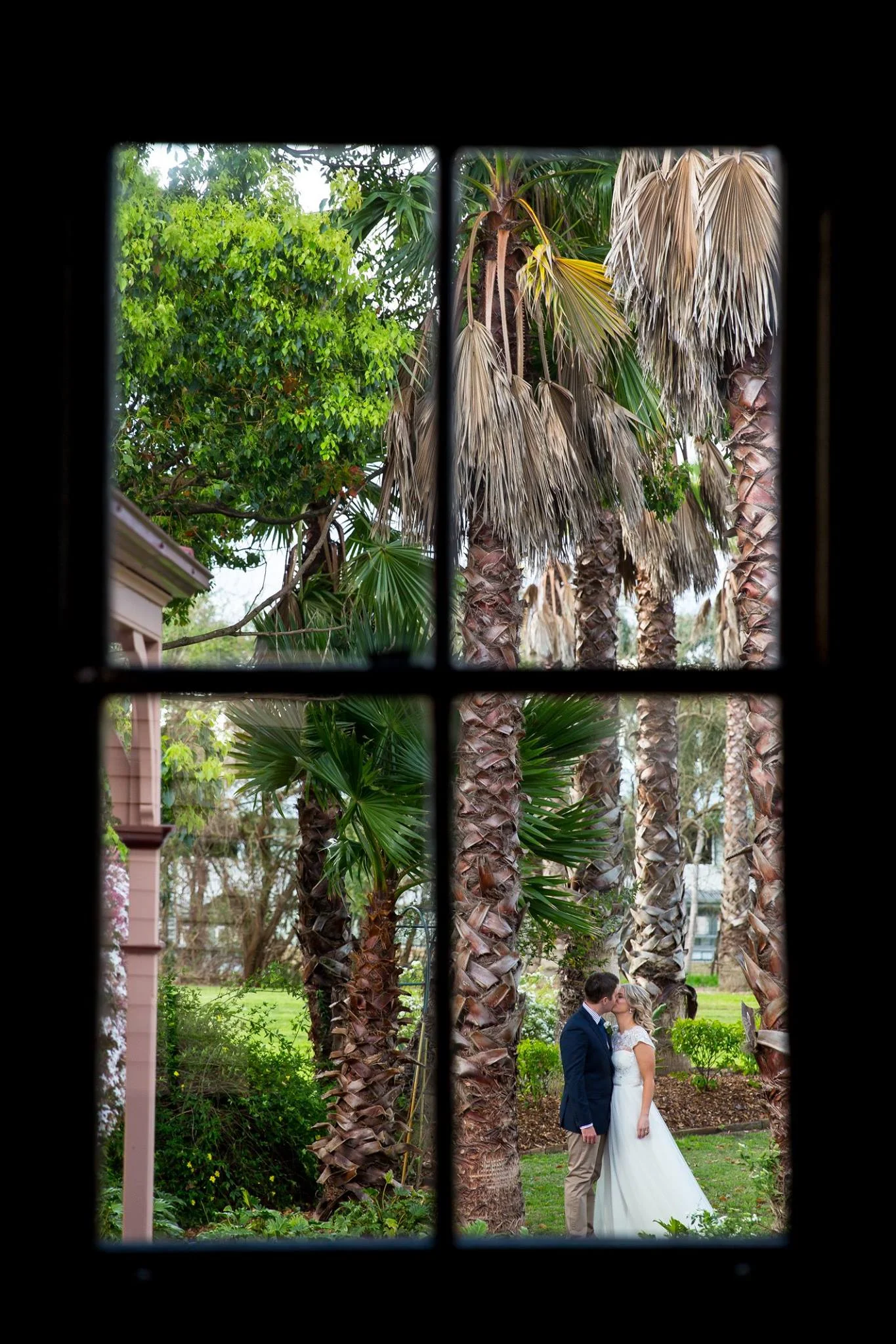 Through the window.jpg