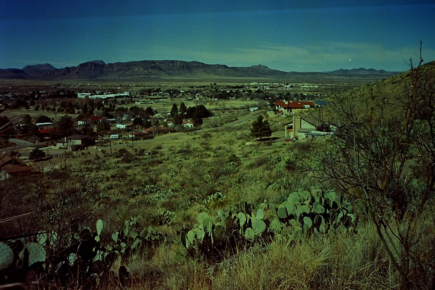 Blue-4.JPG
