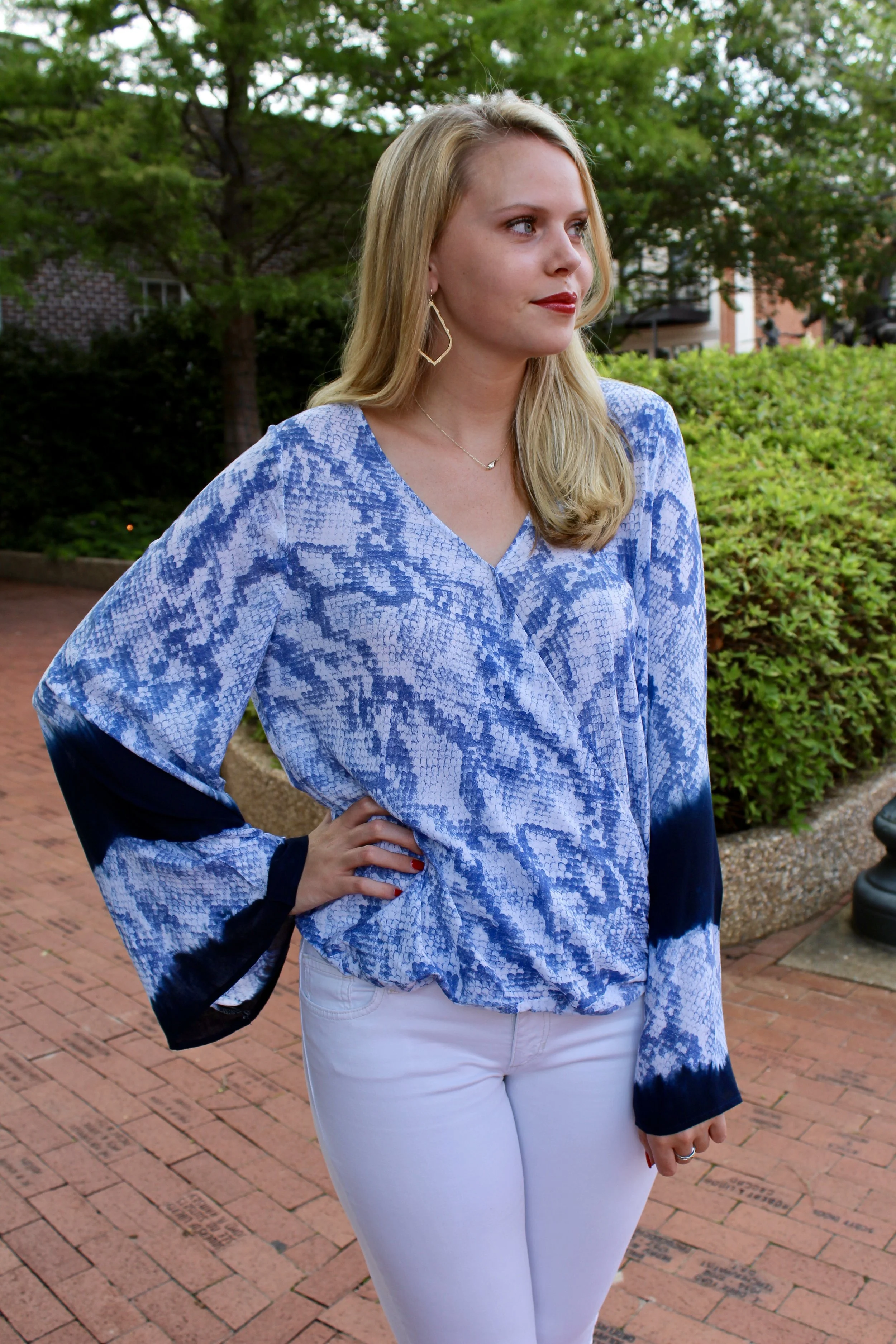 Blue and Bell Sleeves