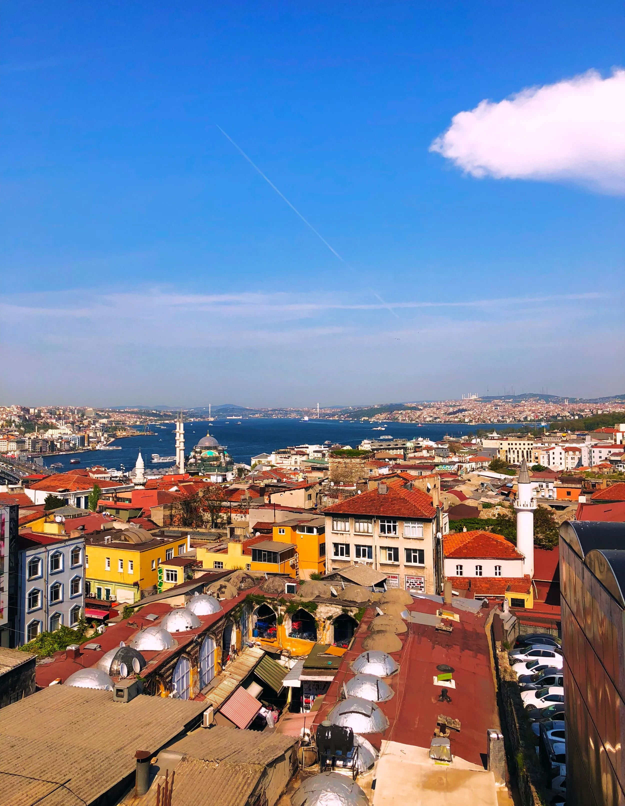VCA Groupe Study Turkey 13.jpg