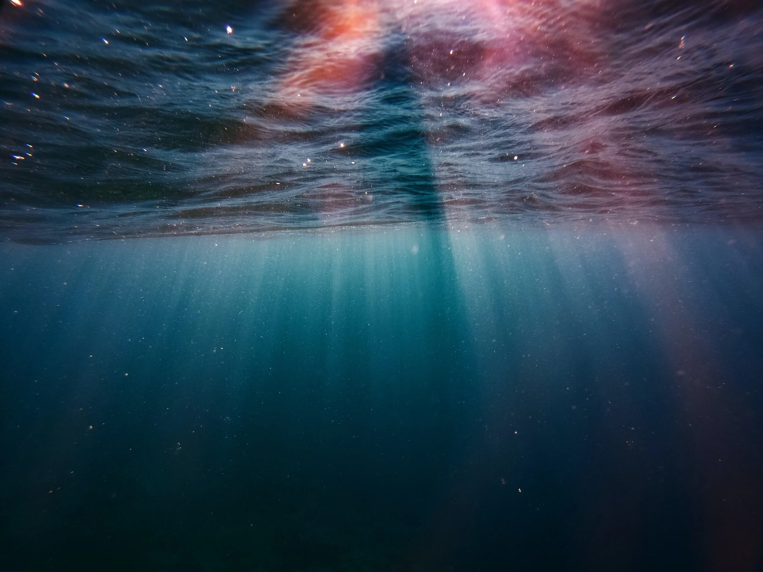 underwater-2170473.jpg