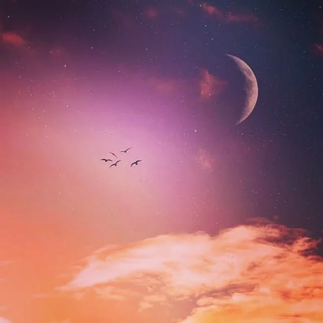 Moon magick ✨🌙🌑🌙✨ We are entering into the time of the dark moon, the end of this lunar phase. This is a time to rest, integrate, and release. 🦋
Intuition is high, dreamscapes are alive, and our attention turns inward. I&rsquo;m feeling this time