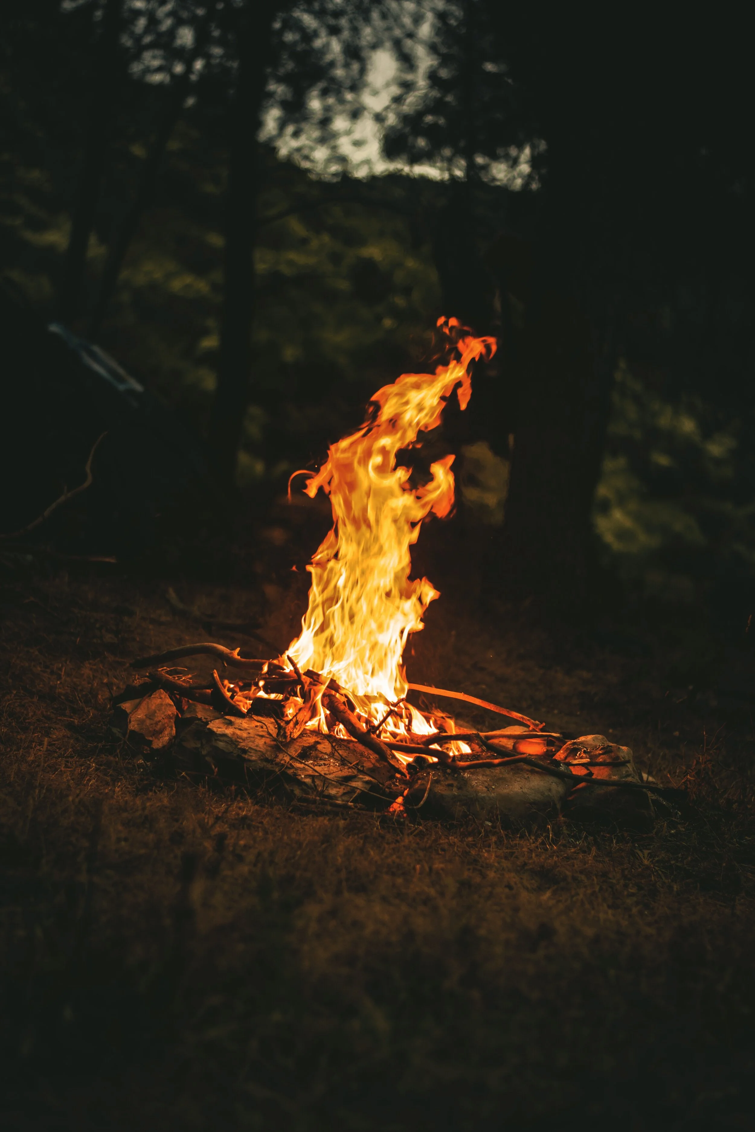 bonfire-burning-burnt-campfire-266604.jpg