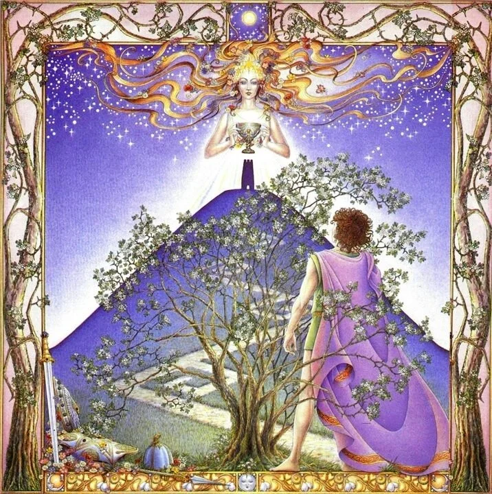 This is the image of the Hawthorn tree from “The Celtic Lunar Zodiac” by Helena Paterson, Illustrated by Margaret Walty.