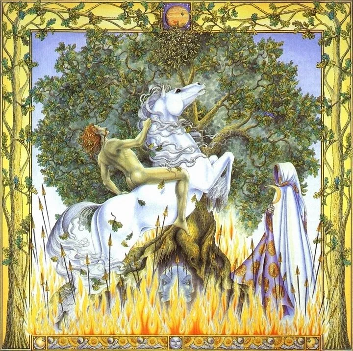 The Oak Tree, from “The Celtic Lunar Zodiac” by Helena Paterson, Illustrated by Margaret Walty.