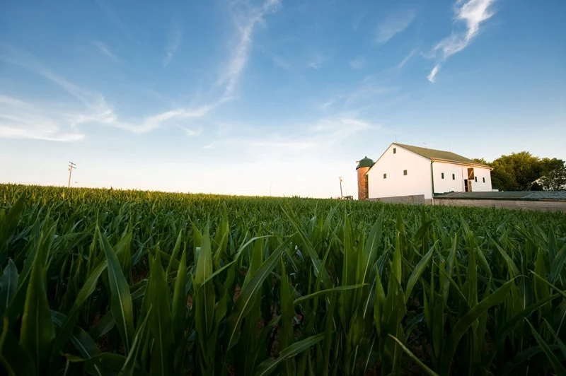 Barn12.jpg