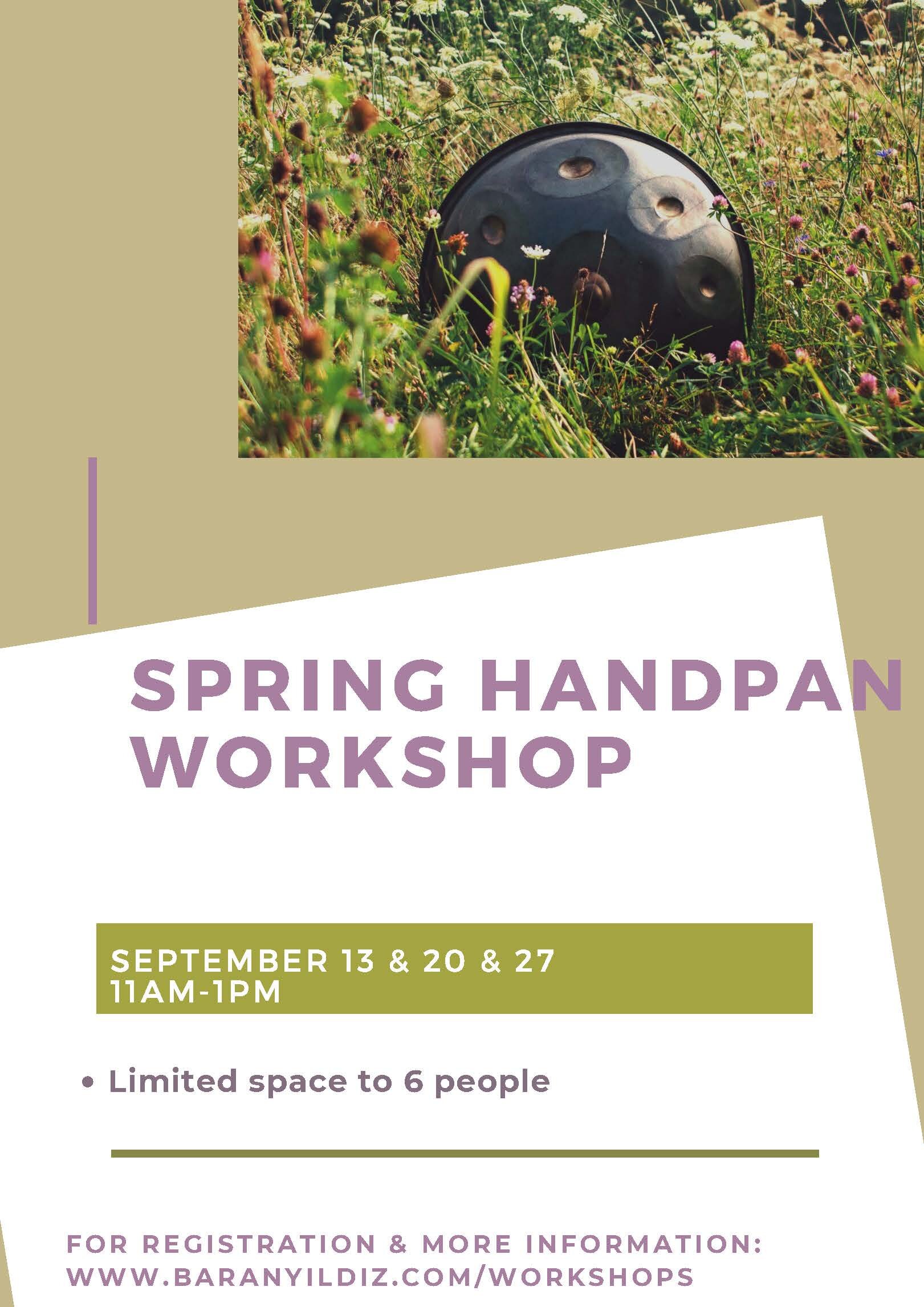 Spring handpan workshop.jpg