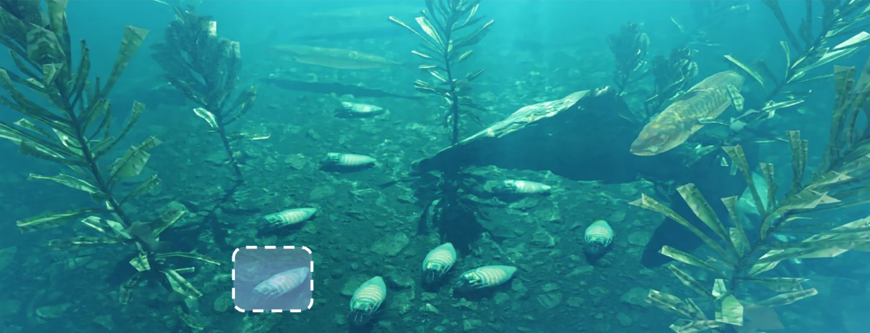 Cyborg Scuba Roaches: The Future of Aquatic Robotics?