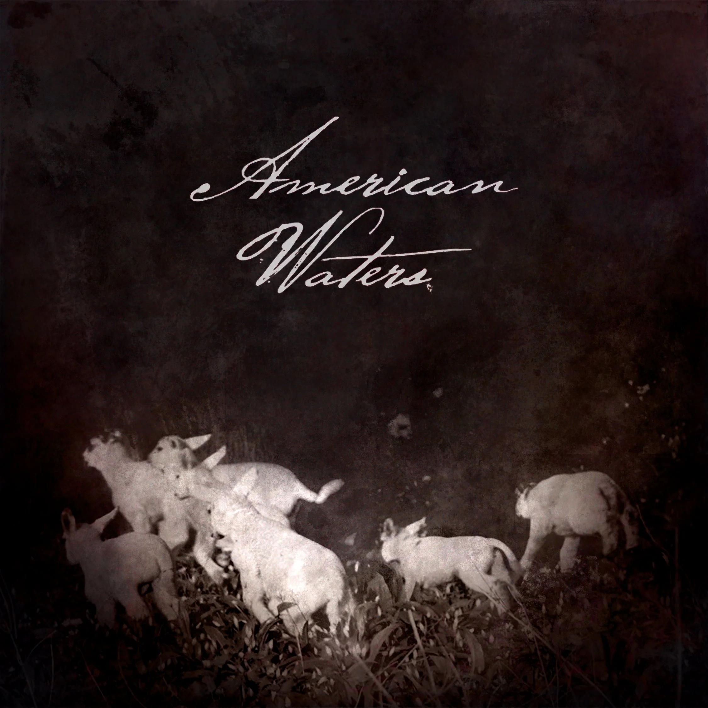 American_Waters_Artwork_FINAL resized.jpg