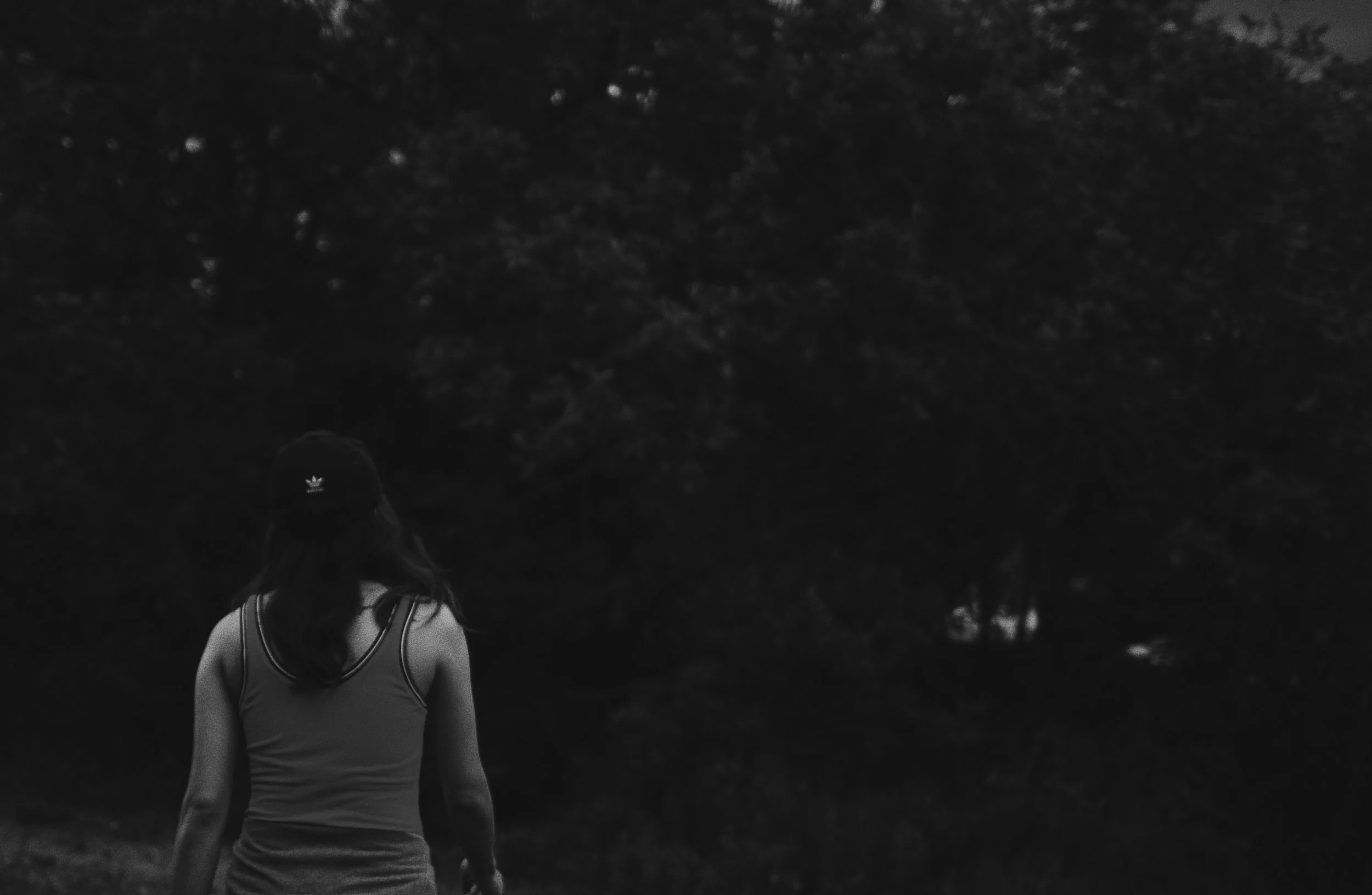 On the Pursuit of Friendship Part Two