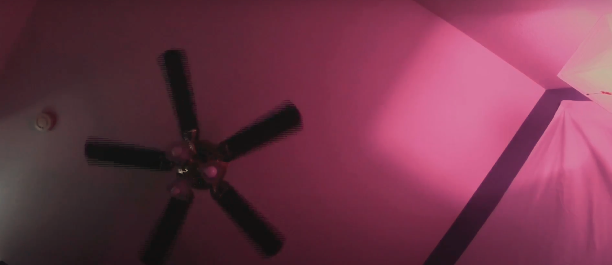 Ceiling Fan Lapses
