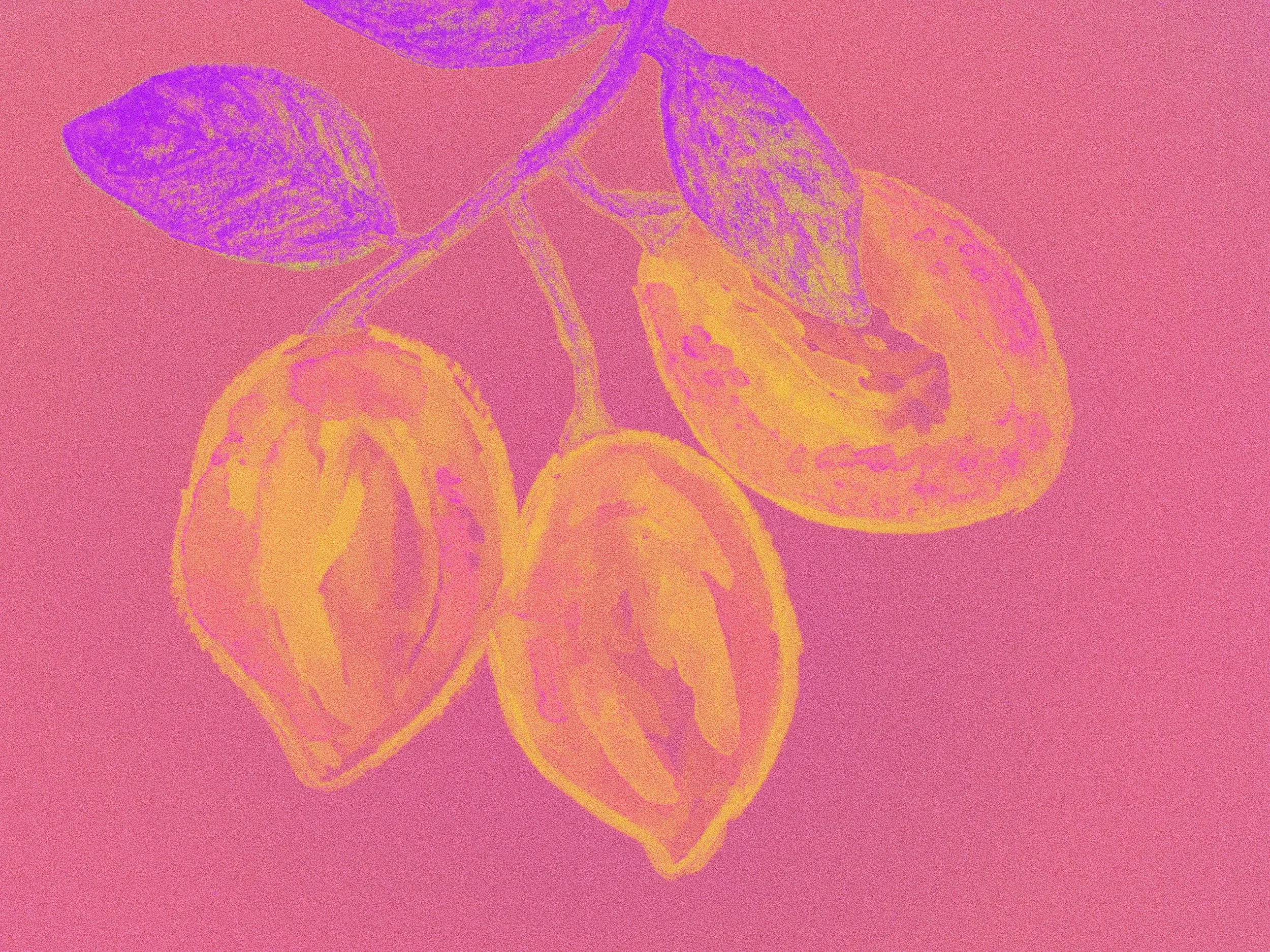 Love and Lemons