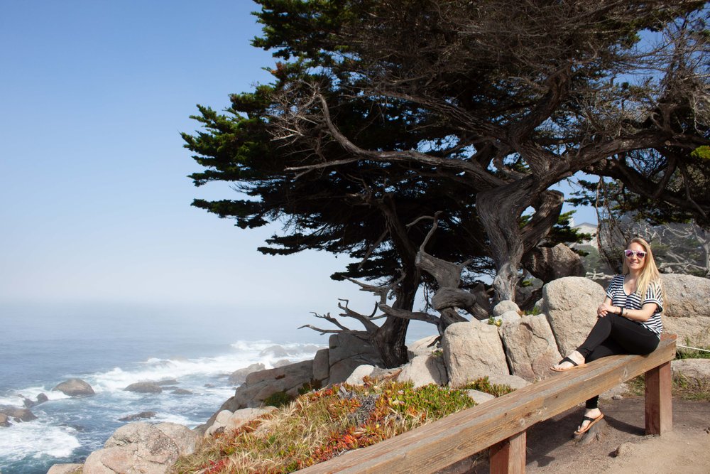 NCG_BIGSUR-CARMEL_0524_15.jpg