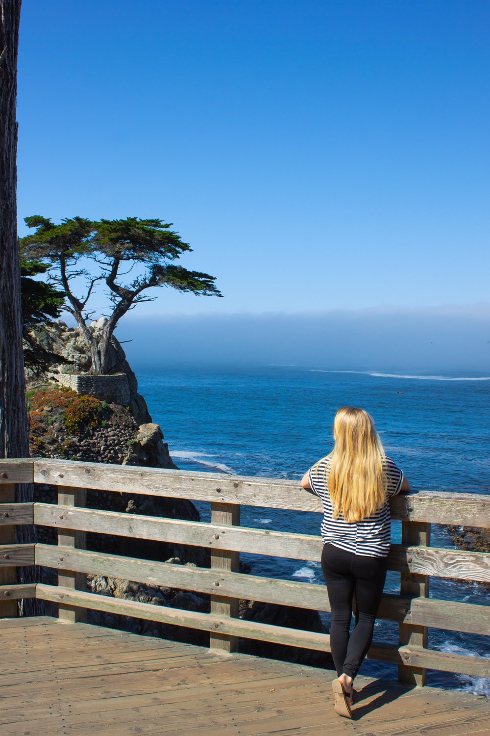 NCG_BIGSUR-CARMEL_0524_21.jpg