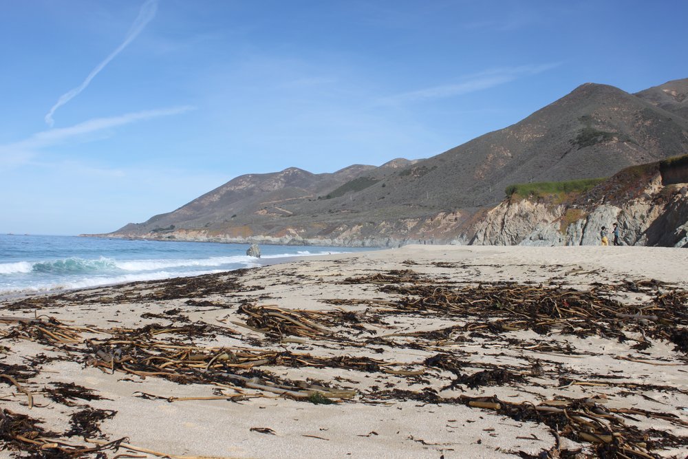 CA_BIG_SUR_2015_16.jpg