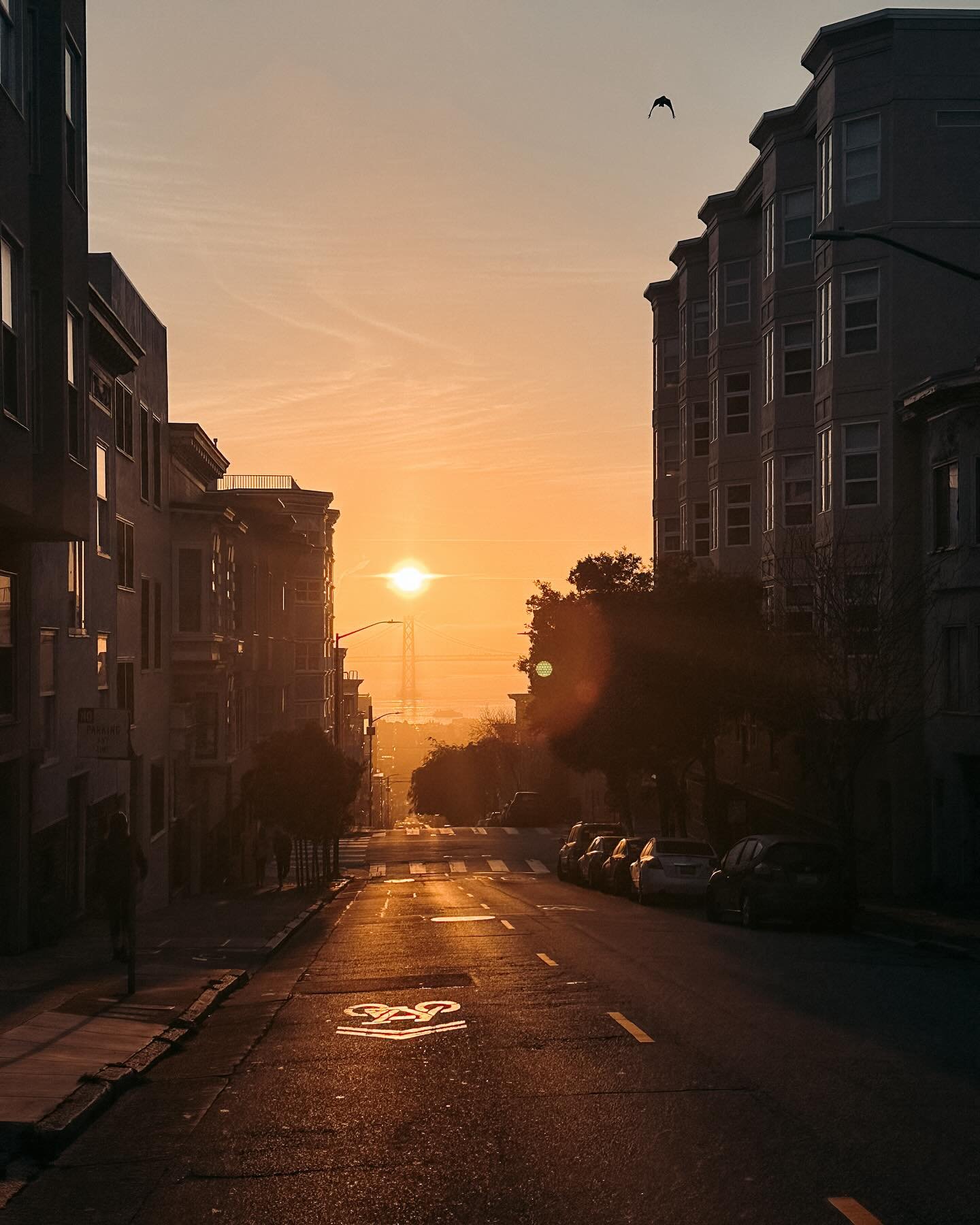 Sunrise strolls and embracing golden hour with every step. 🌅✨
.
.
.
.
#CocoinCalifornia #NationalCocoGraphic #ilovemycity #bayareabuzz #dametraveler #VisitCalifornia #OnlySF #onlyinsf  #sanfranciscobay #sanfranciscoworld #SanFranciscoSunrise #Mornin