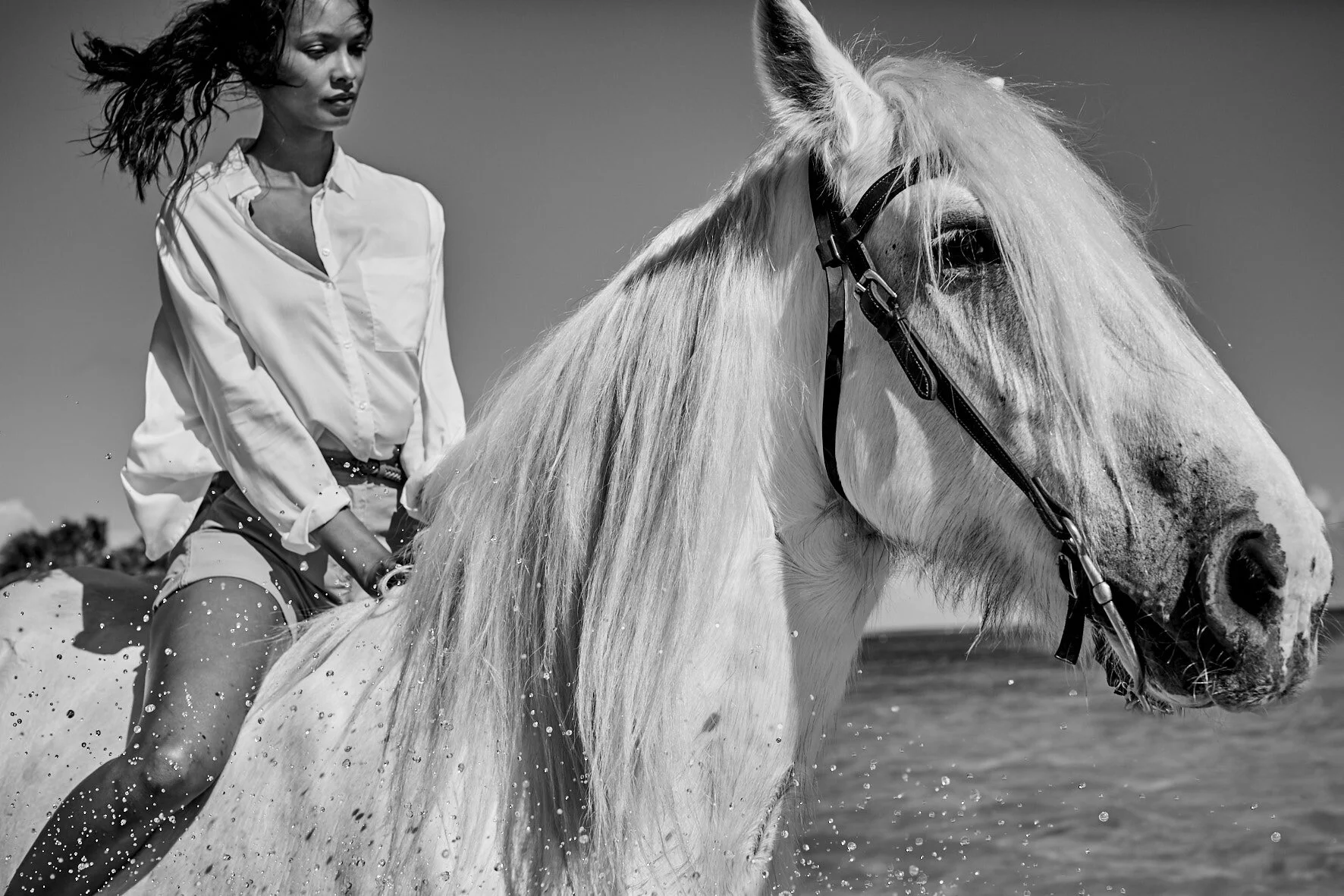 1803-LSHORTS-2_159 1.jpg